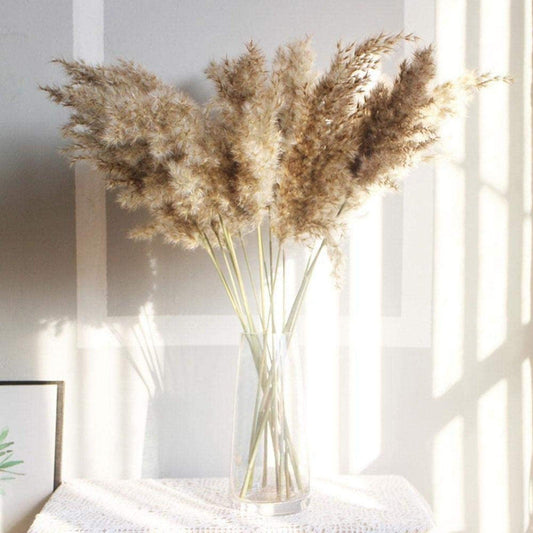 30/50pcs Bulrush Natural Dried Small Pampas Grass Artificial Decor Wedding Flower Bunch Home Office Floor Vase Filler for Living Room Kitchen And Event Decoration
