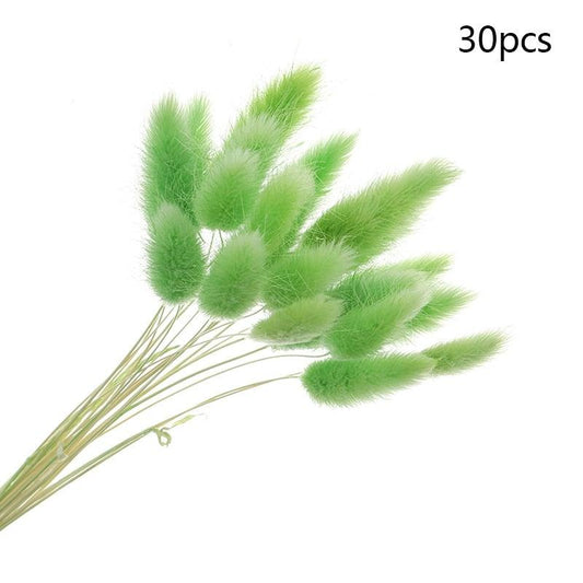 Natural Dried Flower Colorful Dried Fox Tail, Bunny Tail Pampas Grass Bunch Real Bouquet For Photography Props Flores Home Wedding Decor