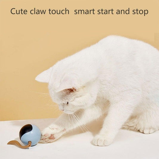 Smart Pet Toy USB Rechargeable Sports Ball Funny Chaser Roller Toy The Best Entertainment Exercise Gift For Smart Cat Toy Electric Jumping Ball Self Rotating Toys Rolling Jumping Ball For Cats