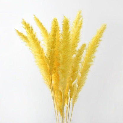 30Pcs Dried Bulrush Flowers Bouquet Home Wedding Decoration Table Flores Preservadas Pampas Grass Natural Reed Decor for Room