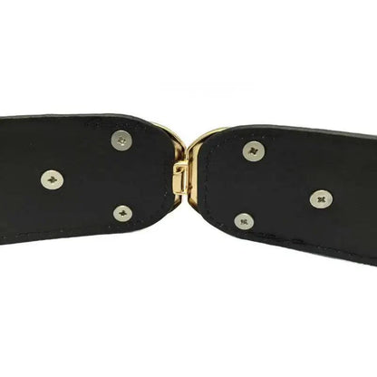 Elegant Wide Fabric Strap  Silver Metal Buckle Belts For Women Trendy Women's Fashion Stretchable Classic Color Belts