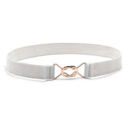 Modern Wide Fabric Strap Silver Metal Buckle Belts For Women Trendy Fashion Stretchable Classic Belts