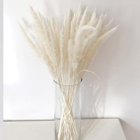 Natural Dried Pampas Grass Colorful Bulrush Artificial Home Wedding Living Room Decoration Accessories Long Bouquet Pompass Grass Branches for Vase Artificial Grass Room Décor Wedding Decorations