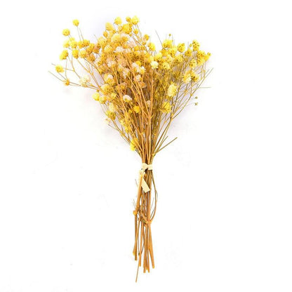 Natural Gypsophila Dried Flowers Mini Babysbreath Flower Preserve Floral  Decor Bouquet Wedding Party Home Backdrop Decor 12cm