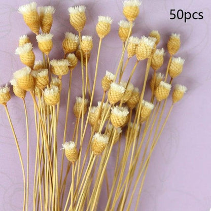 Natural Gypsophila Dried Flowers Mini Babysbreath Flower Preserve Floral  Decor Bouquet Wedding Party Home Backdrop Decor 12cm