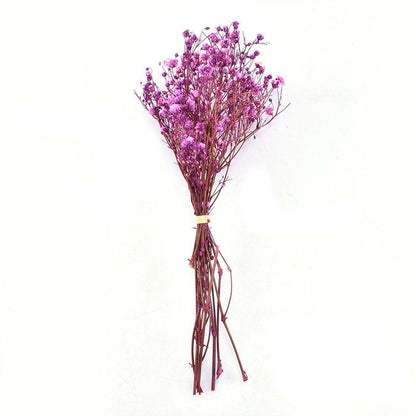 Natural Gypsophila Dried Flowers Mini Babysbreath Flower Preserve Floral  Decor Bouquet Wedding Party Home Backdrop Decor 12cm