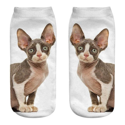 New Cartoon Cat Socks 3D Print Art Funny Socks Women Cute Low Cut Ankle Socks Made o Pure Cotton Short Socks Trending Fashion Short Ankle Socks For Men And Women