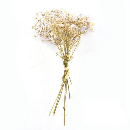 Natural Gypsophila Dried Flowers Mini Babysbreath Flower Preserve Floral  Decor Bouquet Wedding Party Home Backdrop Decor 12cm