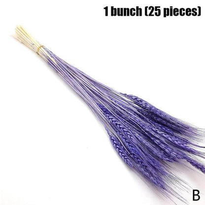 Real Dried Grass Reed Flower Natural Dry Small Bulrush Bouquet Pampas Reeds Home Decoration Wedding Decor Pompass Grass Branches for Vase Artificial Grass Room Décor Wedding Decorations