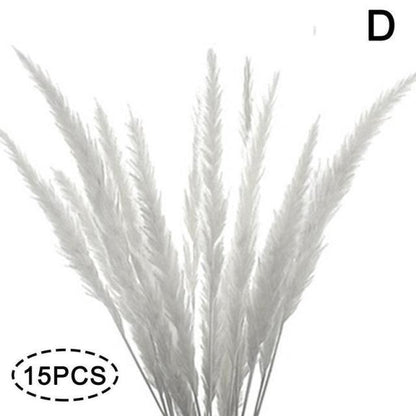 Real Dried Grass Reed Flower Natural Dry Small Bulrush Bouquet Pampas Reeds Home Decoration Wedding Decor Pompass Grass Branches for Vase Artificial Grass Room Décor Wedding Decorations