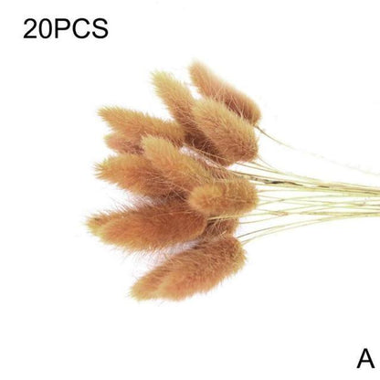 Real Dried Grass Reed Flower Natural Dry Small Bulrush Bouquet Pampas Reeds Home Decoration Wedding Decor Pompass Grass Branches for Vase Artificial Grass Room Décor Wedding Decorations