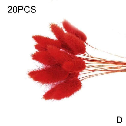 Real Dried Grass Reed Flower Natural Dry Small Bulrush Bouquet Pampas Reeds Home Decoration Wedding Decor Pompass Grass Branches for Vase Artificial Grass Room Décor Wedding Decorations