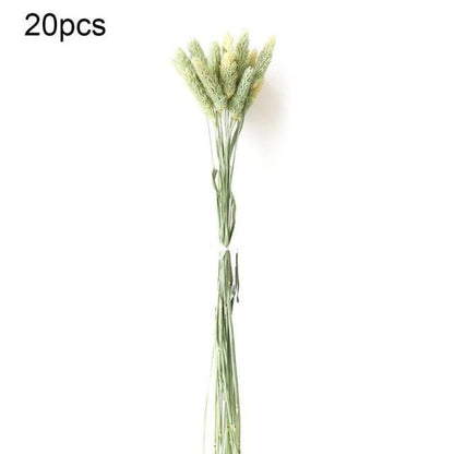 Real Dried Grass Reed Flower Natural Dry Small Bulrush Bouquet Pampas Reeds Home Decoration Wedding Decor Pompass Grass Branches for Vase Artificial Grass Room Décor Wedding Decorations