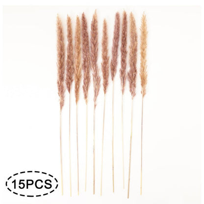 Real Dried Grass Reed Flower Natural Dry Small Bulrush Bouquet Pampas Reeds Home Decoration Wedding Decor Pompass Grass Branches for Vase Artificial Grass Room Décor Wedding Decorations