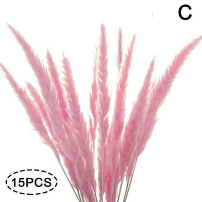 Real Dried Grass Reed Flower Natural Dry Small Bulrush Bouquet Pampas Reeds Home Decoration Wedding Decor Pompass Grass Branches for Vase Artificial Grass Room Décor Wedding Decorations