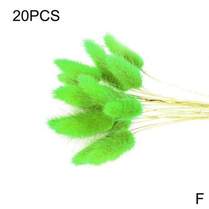Real Dried Grass Reed Flower Natural Dry Small Bulrush Bouquet Pampas Reeds Home Decoration Wedding Decor Pompass Grass Branches for Vase Artificial Grass Room Décor Wedding Decorations